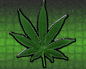 hemp07